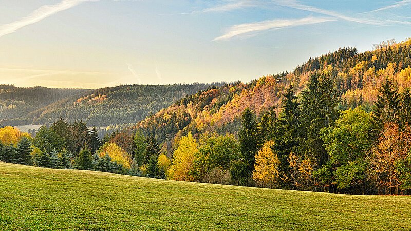 Panoramabild des Frankenwalds in Herbstlichen Farben, davor ist etwas Wiese zu sehen