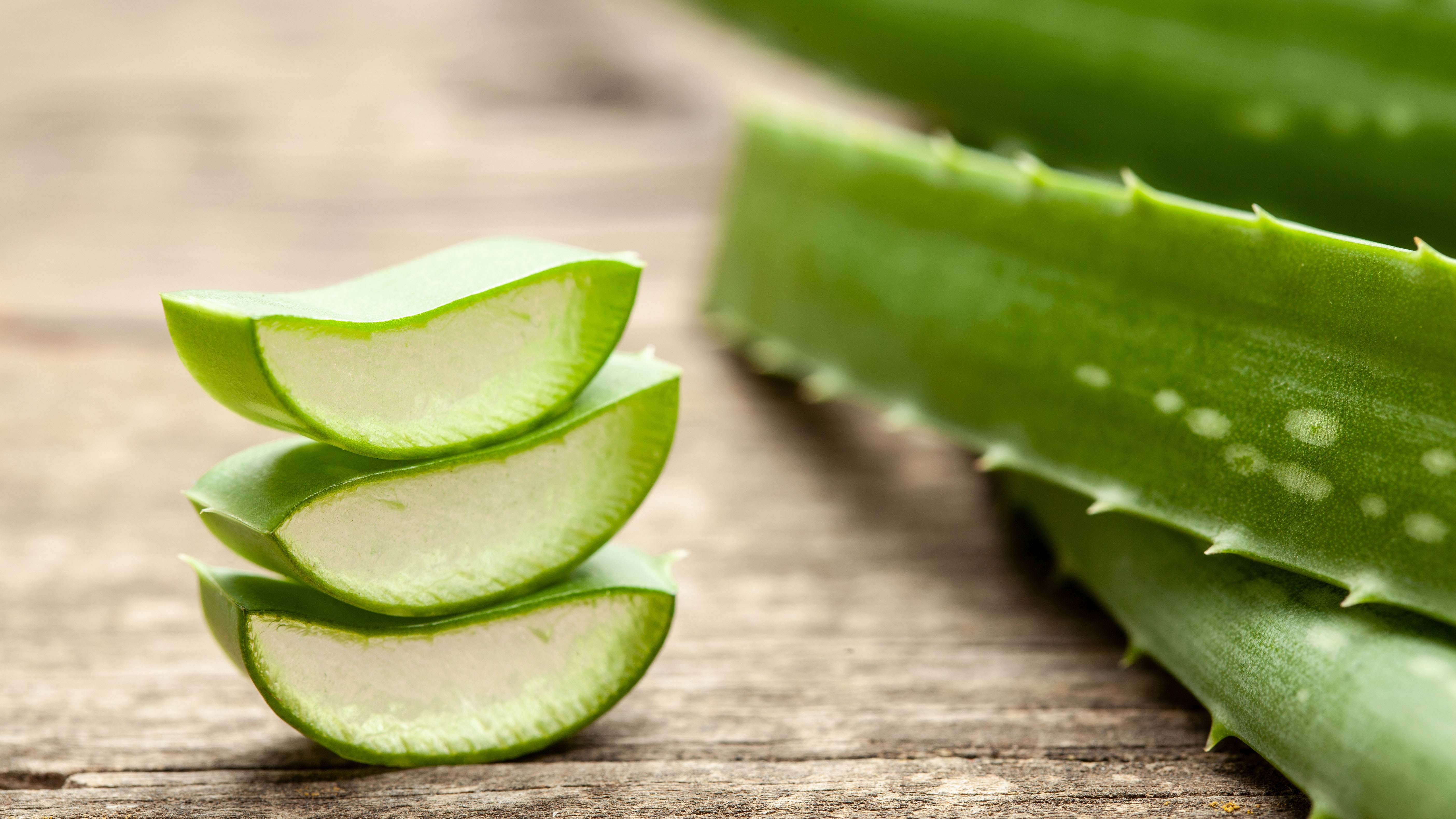 Nachaufnahme von Aloe Vera Blöttern auf einem Holztisch. Dabei sind 3 abgeschnittene Stücke im Fokus aufeinandergetürmt