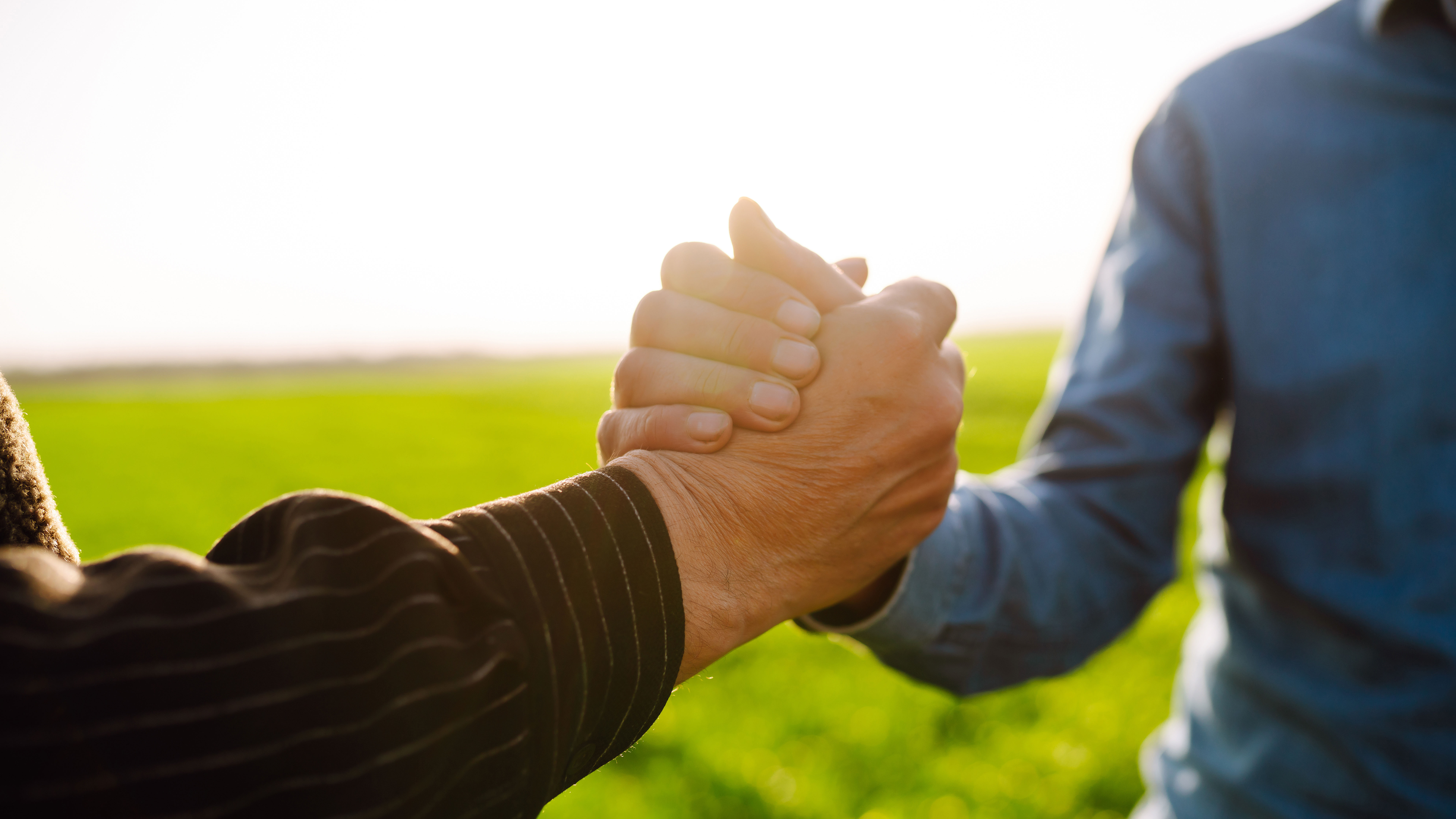 Zwei Herren besiegeln eine Partnerschaft mit einem Handschlag