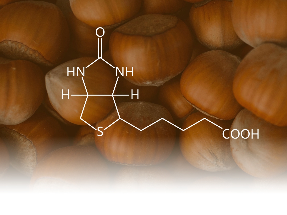 Abgesoftete Nahaufnahme von Haselnüsse, darauf die Sturkturformel von Biotin