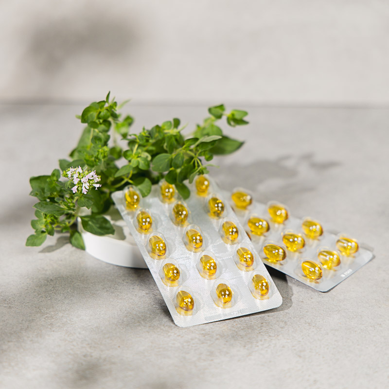 Oregano Weichkapseln in zwei Blistern liegen vor einem Bund Oregano